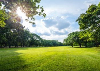 Pronostican temperaturas frescas para el primer día del 2025