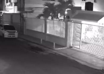 PLD dice que Madre e hija víctimas del feminicidio en La Vega eran dirigentes de ese partido