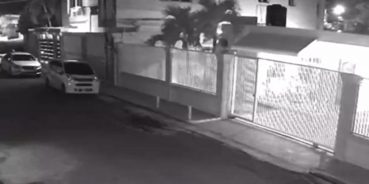 PLD dice que Madre e hija víctimas del feminicidio en La Vega eran dirigentes de ese partido