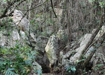 Medio Ambiente comprueba daños en las Cuevas del Pomier