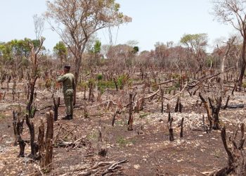 Ministro afirma que es crítica la situación medioambiental en el país
