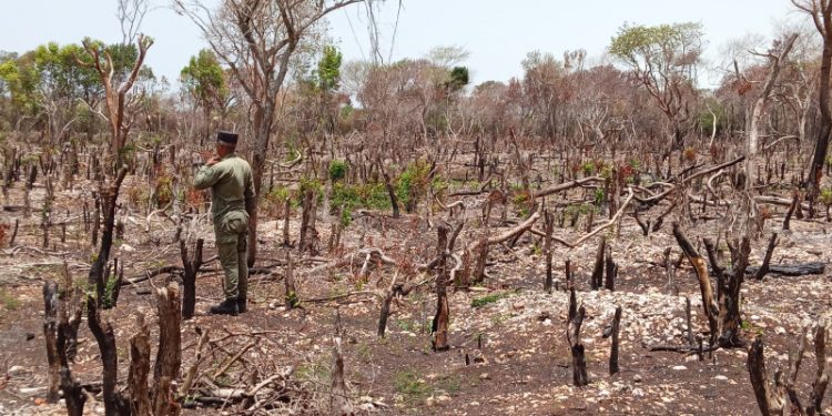 Ministro afirma que es crítica la situación medioambiental en el país
