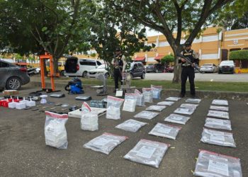 Desmantelan centro de empaque de drogas en Santiago