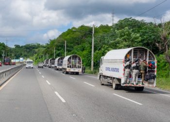 Envían a prisión red daba documentos a haitianos