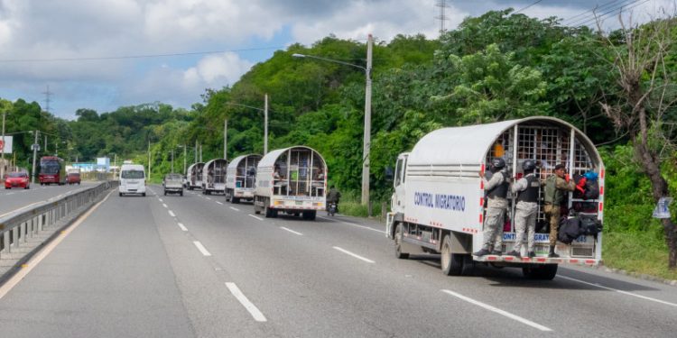 Envían a prisión red daba documentos a haitianos