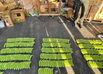 Incautan 303 guineos de cerámica llenos de cocaína en puerto Manzanillo