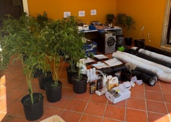 Detienen a hombre que utilizaba casa como vivero para cultivar marihuana en La Vega