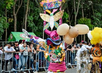 “Carnaval de Santiago: Un segundo domingo exitoso que une a toda la familia”