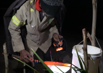 La pesca de anguilas, el jugoso negocio que cambió la vida de los pueblos costeros del este