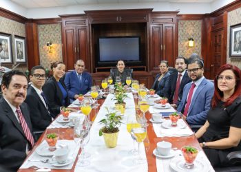 Faride Raful procura convertir en obligatorio el pago de multas de tránsito