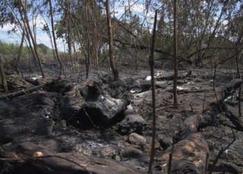 En 10 horas controlaron incendio en San Pedro de Macorís