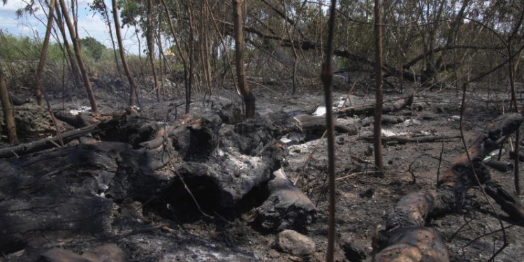 En 10 horas controlaron incendio en San Pedro de Macorís