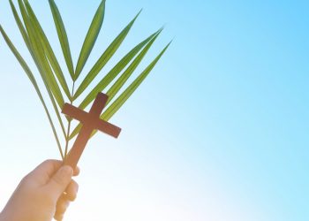 La iglesia celebra hoy el Domingo de Ramos: puerta que nos lleva a la Semana Santa