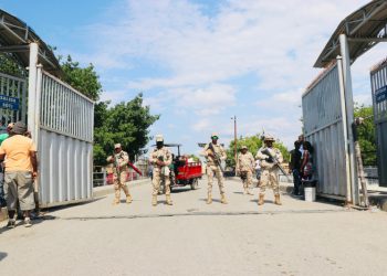 Ejército recupera ganado en la frontera; fueron localizadas con drones