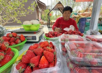 Aldea Xinzhuan: Un pequeño pueblo de China que vive gracias a su arte y cultivo