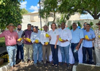 Bananeros solicitan 15,000 trabajadores haitianos