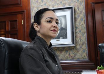 PRM condena campaña de descrédito contra Faride Raful y se solidariza con Milagros Germán