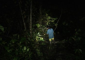 Once militares de ecuatorianos mueren en una emboscada de guerrilleros colombianos