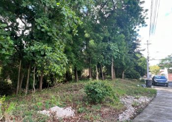 Se oponen a ruta del Monorriel que afecta bosque en Santiago