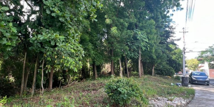 Se oponen a ruta del Monorriel que afecta bosque en Santiago