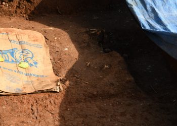 Obra paralizada por hallazgo de osamentas en Ciudad Colonial