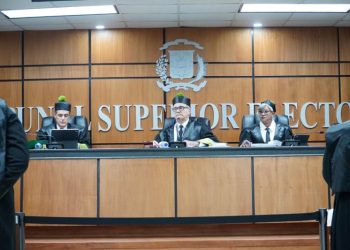 TSE pone pausa a planes del PLD de reconocer aspirantes presidenciales