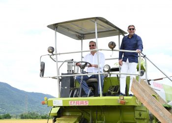 República Dominicana lanza nueva tecnología arrocera para enfrentar retos DR Cafta