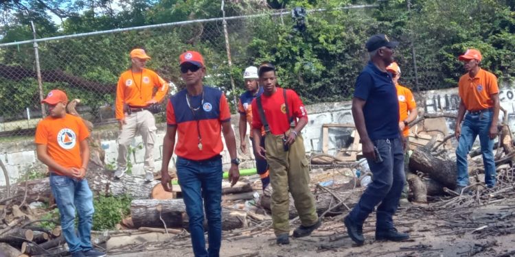 Defensa Civil de Santiago realiza operativo por árbol caído en El Ejido y llama a prepararse ante temporada ciclónica