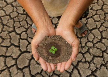 Cambio climático recibe menos del 10% del gasto ambiental en RD, según la ONE