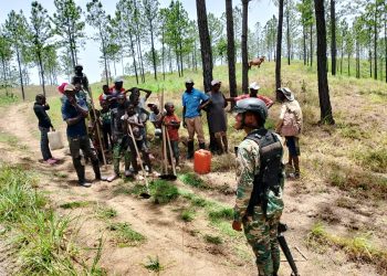 Autoridades detienen a 1,256 haitianos ilegales; deportan 482