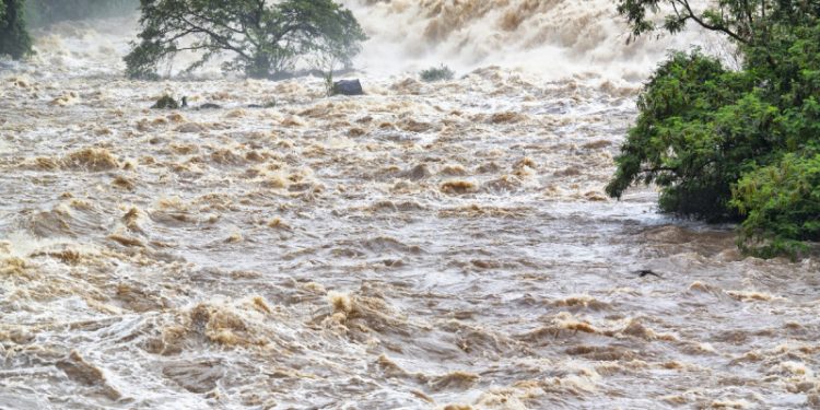 En busca de la abuela Alicia: hijos y nietos al rescate tras inundaciones en Texas