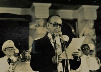 El decretazo que salvó la democracia