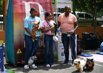 "Amigos de 4 patas": decenas de familias celebran el Día de las Mascotas en Santo Domingo