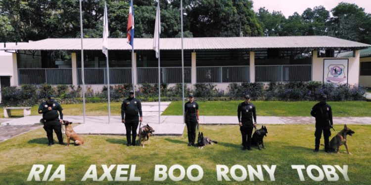 DNCD despide con honores a cinco caninos especializados en detección de narcóticos