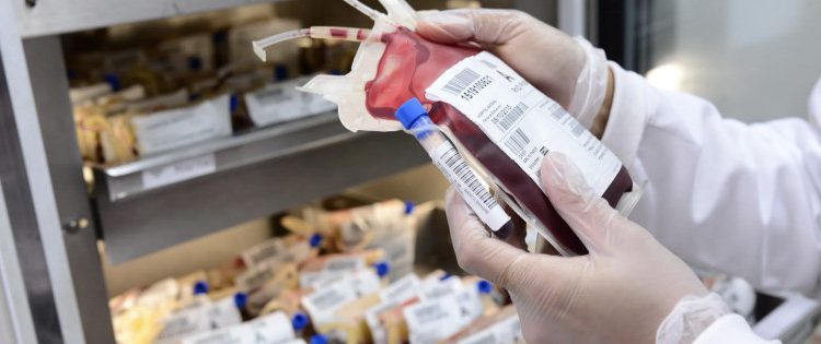 Sectores público y privado habilitan 76 bancos de sangre a nivel nacional