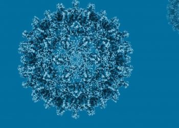 República Dominicana registró 910 casos de hepatitis B y 541 de C en las últimas semanas