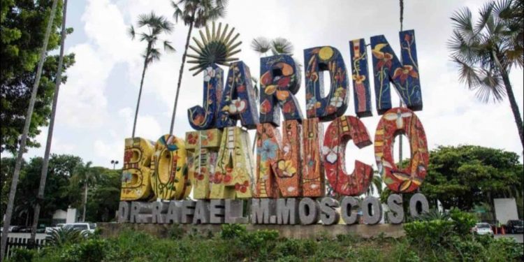 El Jardín Botánico celebrará su 50 aniversario con importantes renovaciones el próximo año