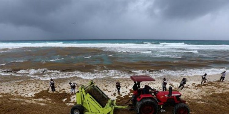 México utiliza datos satelitales en centro de monitoreo ambiental para enfrentar el sargazo