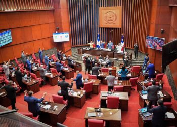 Senado envía a diputados cinco proyectos de ley; deberán decidir si pasa al PE para su promulgación