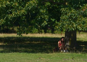 Calor de 43 grados aumenta el riesgo de un incendio