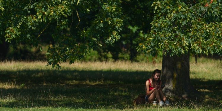 Calor de 43 grados aumenta el riesgo de un incendio