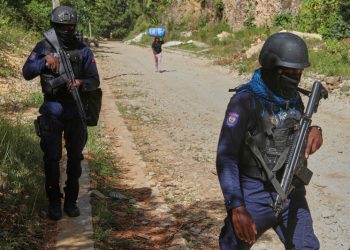 Pandillas matan a dos policías de élite