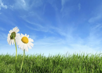 Semana laboral inicia con cielo soleado en gran parte del país