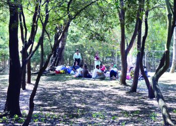 Parques nacionales: refugio de bienestar ante la ola de calor