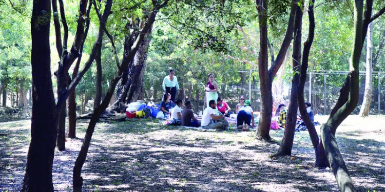 Parques nacionales: refugio de bienestar ante la ola de calor