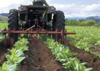 Líderes del sector agropecuario se reunirán para trazar estrategias de exportación