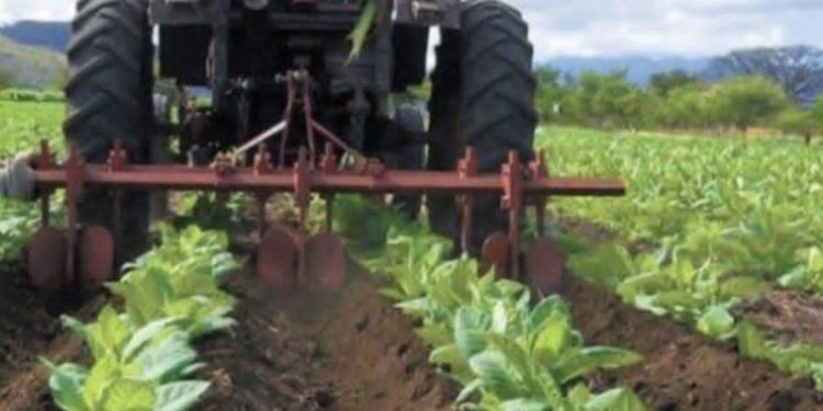 Líderes del sector agropecuario se reunirán para trazar estrategias de exportación