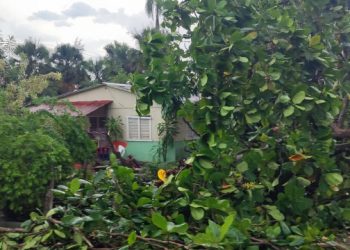 Reportan daños en diferentes localidades del Cibao por ventarrón