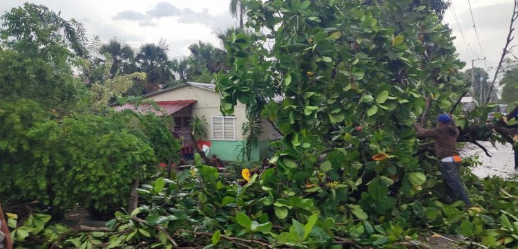 Reportan daños en diferentes localidades del Cibao por ventarrón