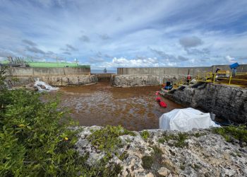 Presencia de sargazo afecta operación en planta eléctrica AES Andrés